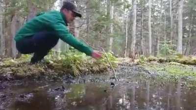A reason why children in Hokkaido are taught from a young age never to step in puddles.