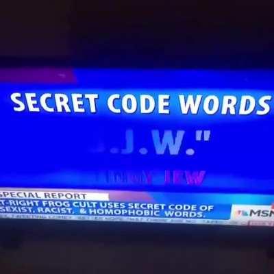 ihaveihaveihave decoded the secret code words, millions must know
