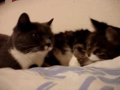 When you just wake up and your GF ASKs you what do you wanna for breakfast.