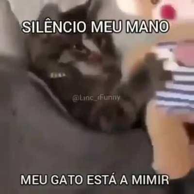 La vida se les puede ir rapido solamente con despeertar a mi gato. Considerelo un aviso 🔫