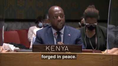 The Kenya ambassador to the UNSC explains how people across Africa understand Ukraine, and what the Kremlin's acts of aggression mean in our post-colonial world