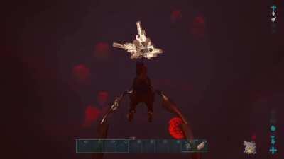 You never know what your tame is going through