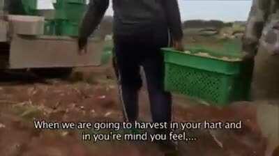 The average WoWs player.. myself included.