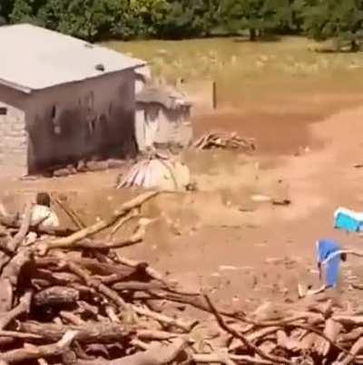 to scare off a rooster