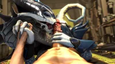 Royal Viper (POV HANDHOLDING)