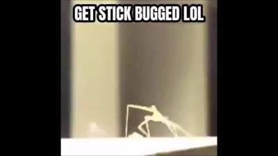 You won't get stick bugged i promise