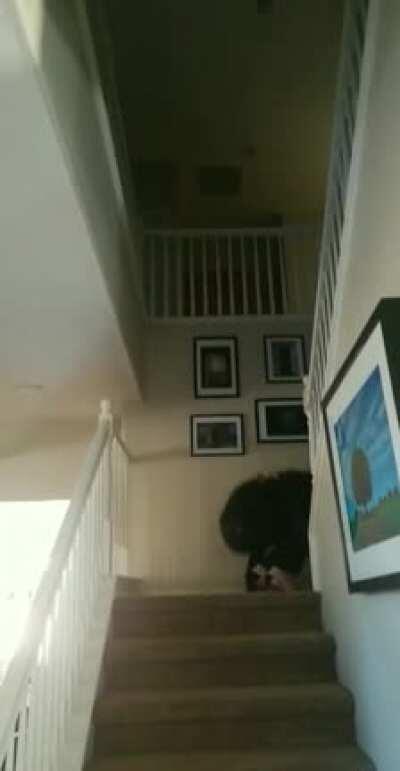 Going up stairs on 4th plat