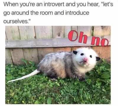 Thanks, I hate socializing!