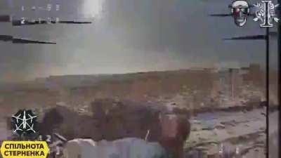 Ukrainian 1st Battalion 8th SSO regiment 