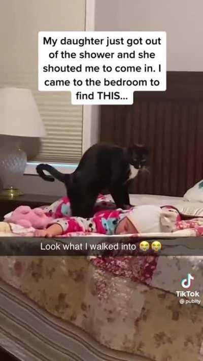 The way they stare at the end