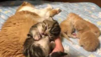 If only they could stay this small forever.