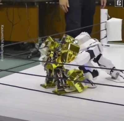 Robot Wrestling
