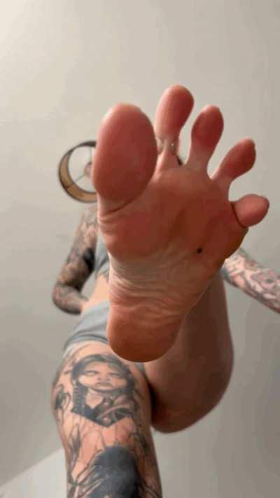 Lick them and rub them before you get squished 🕷️