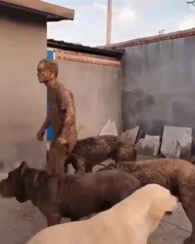 How was your walk honey