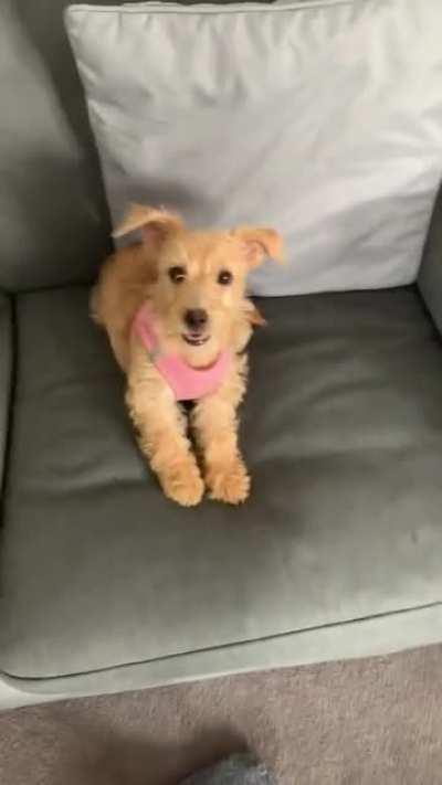 She hasn’t quite developed awareness of her surroundings yet