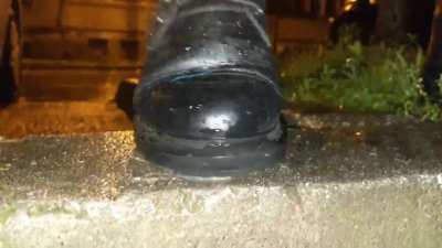 Snail squished in its natural habitat