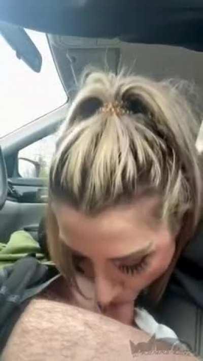 [reddit] my bud really knows how to make a road trip entertaining