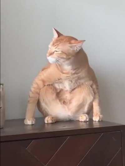 Чёткий-дерзкий на своём районе сидит