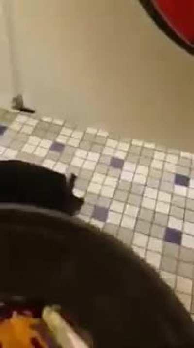 Halloween 🎃 в туалете .