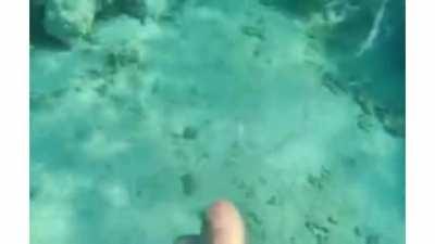 Summoning Nami 🐠friends🐠