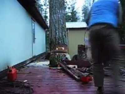 Tree barely makes it through