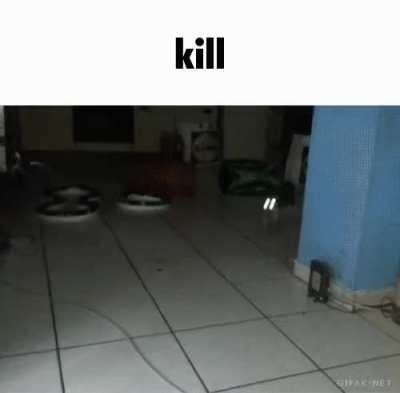 Pyro seeing comments about petscop 2