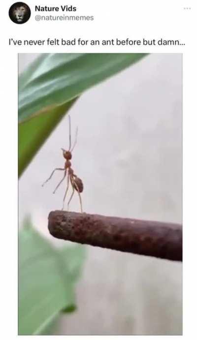 This definitely belongs here