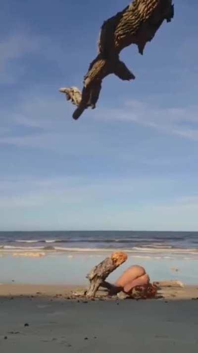 HMC while I climb a dried up branch