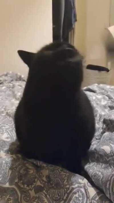 Round and round we go