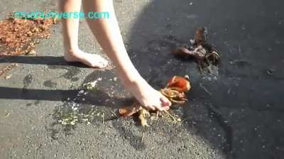 Barefoot Lobsters crushing on Street