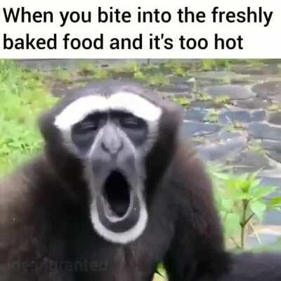 How to lose all your taste buds step 1