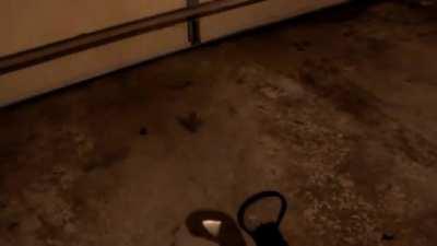 Homemade laser shotgun (fuck you ATF)