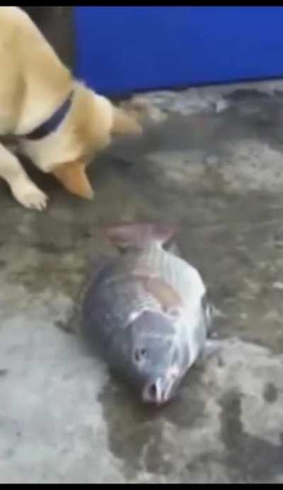 Top 10 momentos más tristes del anime