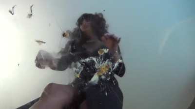 Bug Crush Underglass - Bug Crushed