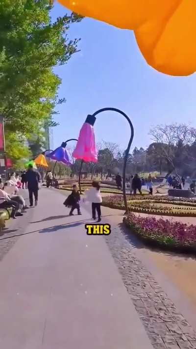 Flower lamps in China