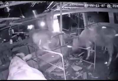 When the aliens are done