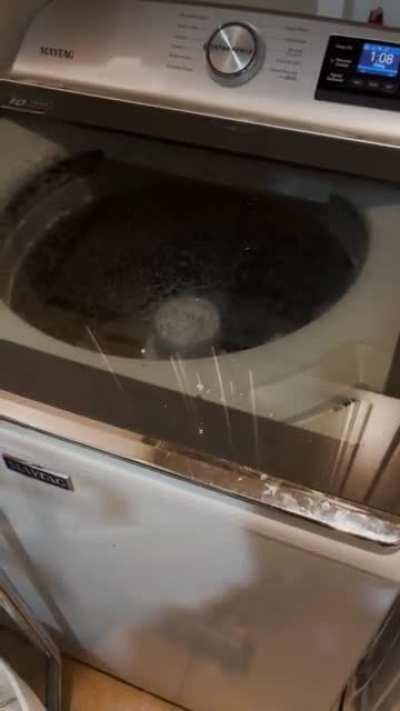 My folks 1 yr old $950 washing machine now screeches like a banshee on occasion