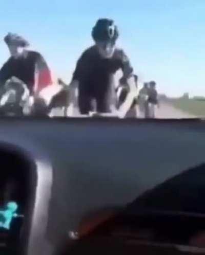 SLPT: If a swarm of cyclists end up on the windscreen of your car, simply use your windscreen wipers to remove them.