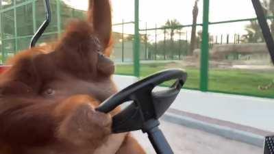 Me... After watching everyone else panic sell and I'm still holding.