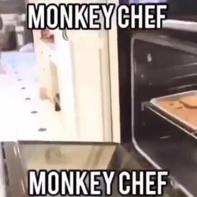 Monkey chef