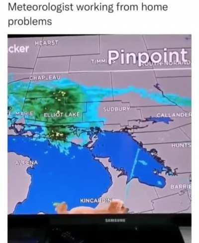 How is the dog walking on water