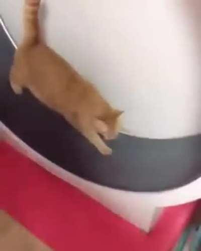 Exercises seem easy and fun until you try it