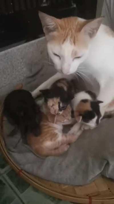 Something's wrong I can feel it...