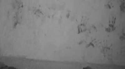 The Casper Boglim Project