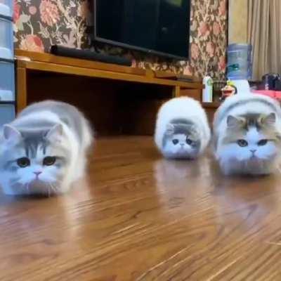 The most adorable sneak attack ever.