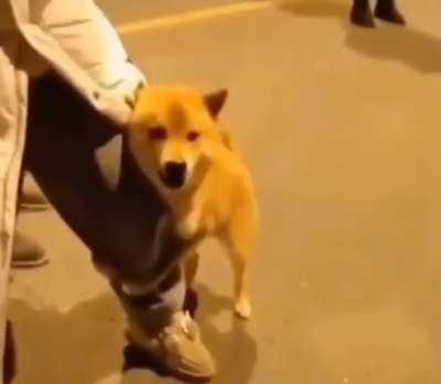 When you're trying to act brave but deep down you're scared af