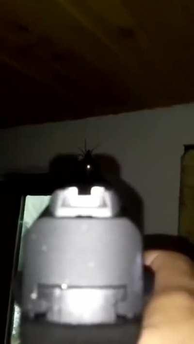 You know something is wrong when you need a gun for protection from bugs