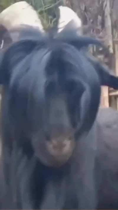 No Offence intended..#TereNaam