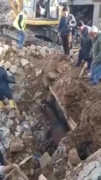 A horse was rescued from the rubble alive in Turkey, 21 days after the earthquake.