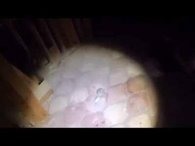 Clip from the youtube channel “OffTheRanch” in his “Exploring the abandoned mansion” video.